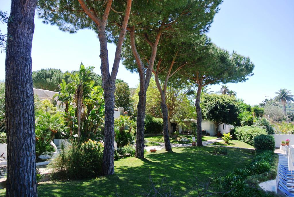 Paradiso Terme Resort & Spa Con 5 Piscine Termali Forio di Ischia Eksteriør bilde